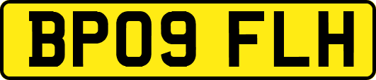 BP09FLH