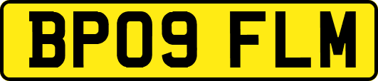 BP09FLM