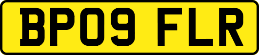 BP09FLR