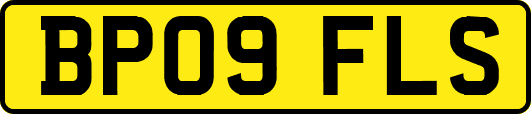BP09FLS