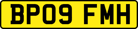 BP09FMH