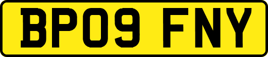 BP09FNY
