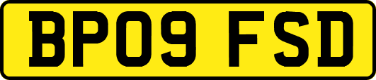 BP09FSD