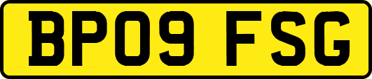 BP09FSG