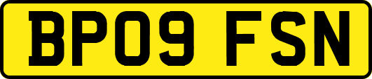 BP09FSN