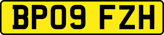 BP09FZH