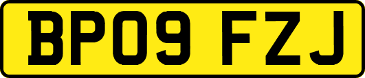 BP09FZJ