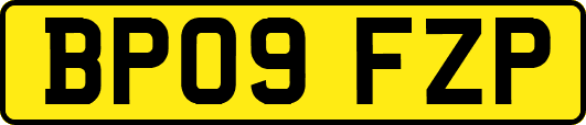 BP09FZP