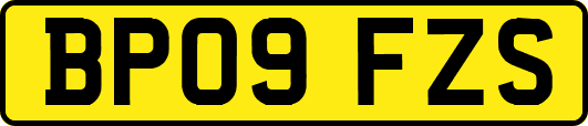 BP09FZS