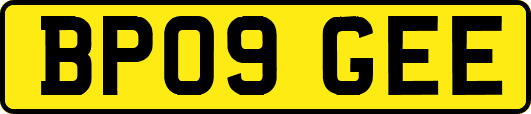 BP09GEE