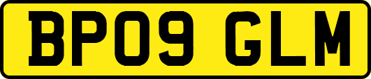 BP09GLM