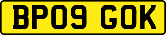 BP09GOK