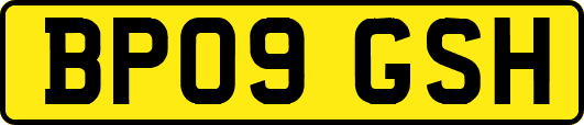 BP09GSH