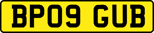 BP09GUB