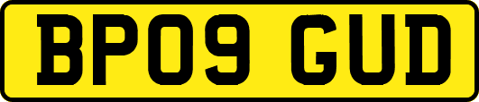 BP09GUD