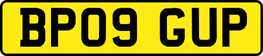 BP09GUP