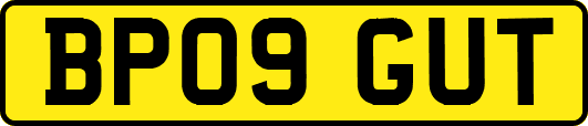 BP09GUT