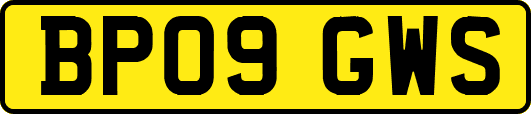 BP09GWS