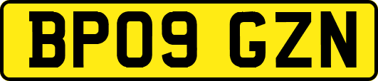 BP09GZN