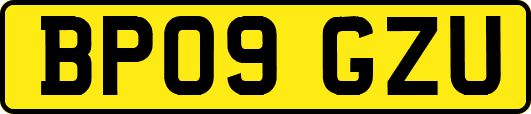 BP09GZU