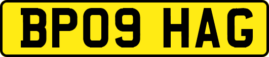 BP09HAG