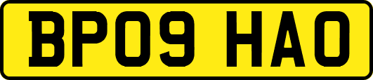 BP09HAO
