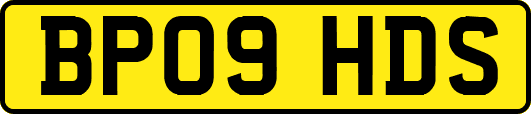 BP09HDS
