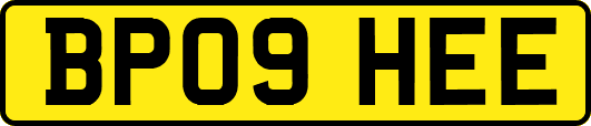 BP09HEE