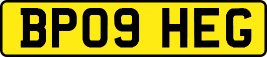 BP09HEG
