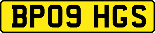 BP09HGS