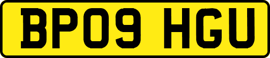BP09HGU