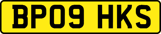 BP09HKS