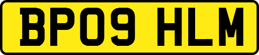 BP09HLM