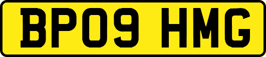 BP09HMG