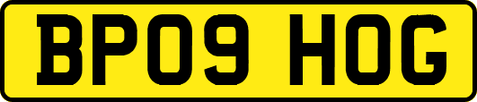 BP09HOG
