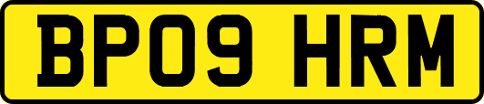 BP09HRM