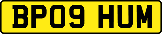 BP09HUM