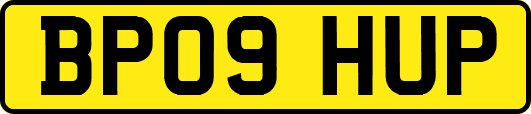 BP09HUP