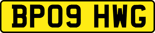 BP09HWG
