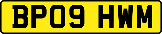 BP09HWM