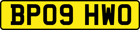 BP09HWO