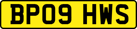 BP09HWS