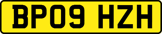 BP09HZH