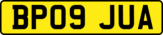 BP09JUA