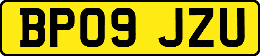 BP09JZU