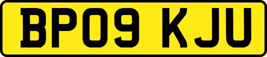 BP09KJU