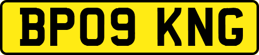 BP09KNG