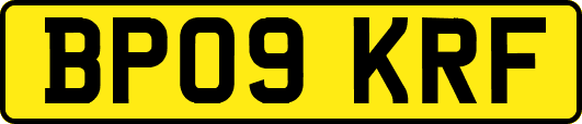BP09KRF