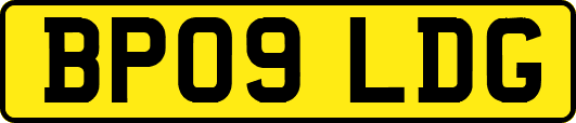 BP09LDG