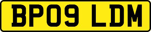 BP09LDM